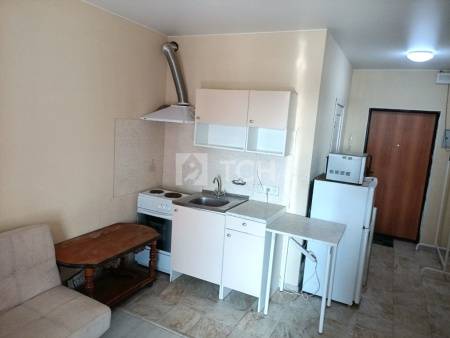 Квартира-студия, деревня Пирогово, улица Ильинского, 7, #id1820182