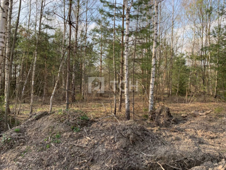 Земельный участок, г.о. Щёлково, деревня Вторая Алексеевка, #id1349609