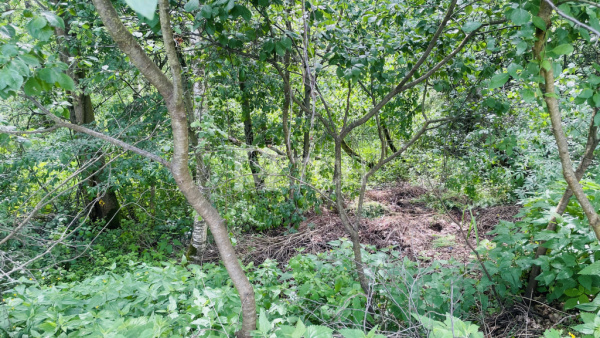 Земельный участок, г.о. Лосино-Петровский, деревня Мизиново, #id1498864