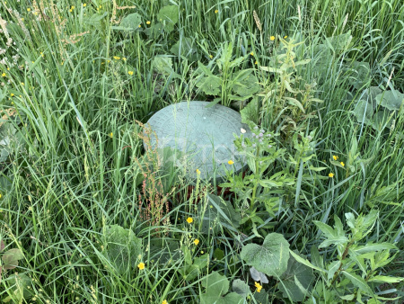 Земельный участок, Дмитровский г.о., коттеджный посёлок Медовое, улица Братьев Политовых, #id1229032