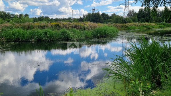 Земельный участок, г.о. Пушкинский, посёлок Лесные Поляны, #id1729035