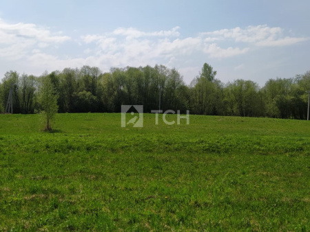 Земельный участок, Владимирская область, Александровский район, деревня Тургенево, #id359750