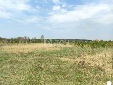 Земельный участок, Богородский г.о., Ногинск, Ново-Богородская улица, #id1570956