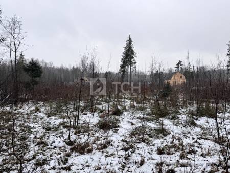 Земельный участок, г.о. Пушкинский, деревня Могильцы, #id1982926