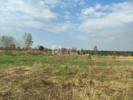 Земельный участок, Богородский г.о., Ногинск, Ново-Богородская улица, #id1570956