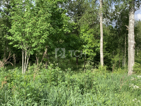 Земельный участок, Дмитровский г.о., коттеджный посёлок Медовое, улица Братьев Политовых, #id1229032