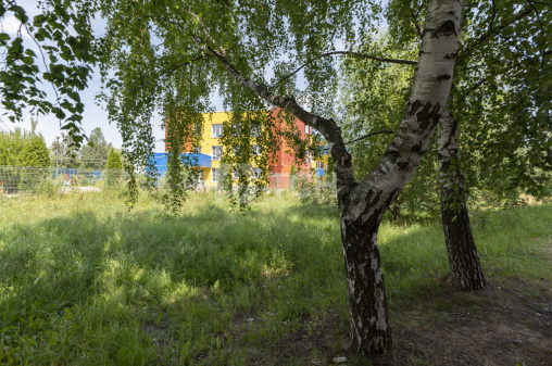 2-комн. квартира, Ивантеевка, улица Толмачёва, 21, #id1136142