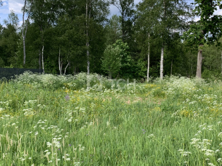 Земельный участок, Дмитровский г.о., коттеджный посёлок Медовое, улица Братьев Политовых, #id1229032