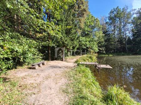 Дом, г.о. Пушкинский, деревня Грибово, #id1782259