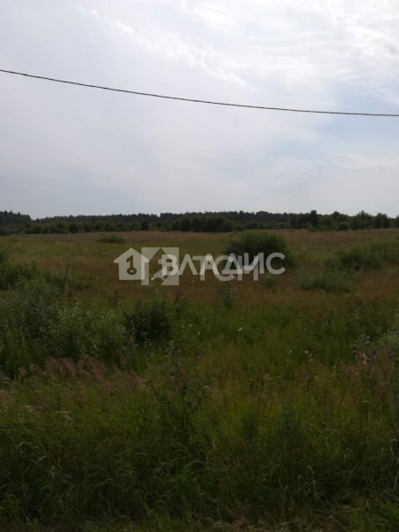 Земельный участок, Можайский г.о., деревня Цыплино, #id1226039