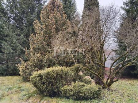 Земельный участок, Троицкий административный округ, деревня Чириково, улица 1-й Автопарк, 2, #id1867672