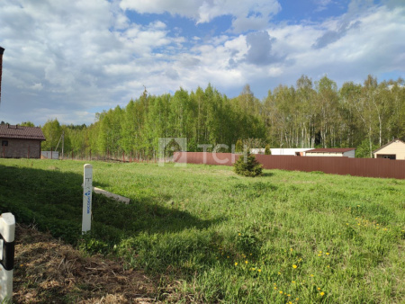 Земельный участок, Богородский г.о., село Мамонтово, Малиновая улица, #id1558782