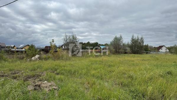 Земельный участок, г.о. Лосино-Петровский, деревня Корпуса, улица Брюса, #id1796053