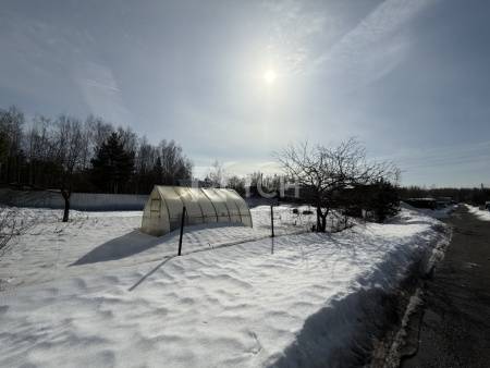 Земельный участок, Богородский г.о., СНТ Роща, #id1985397