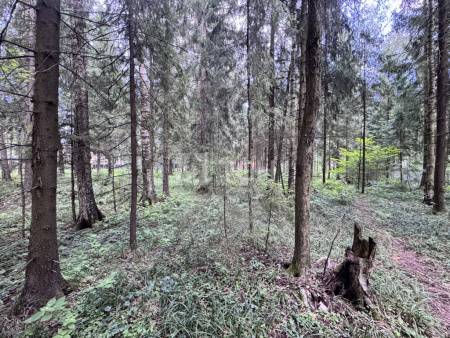 Земельный участок, г.о. Пушкинский, деревня Могильцы, #id1906960