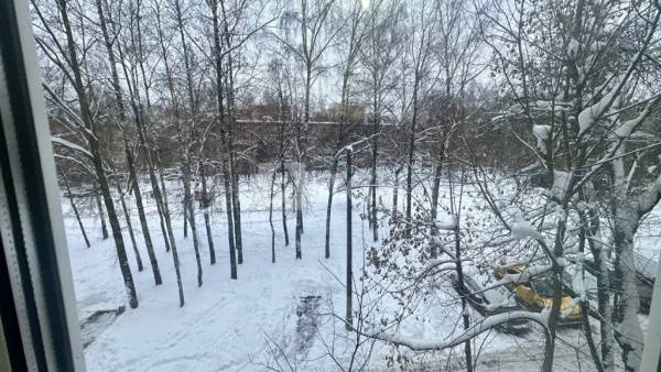 2-комн. квартира, Пушкино, Московский проспект, 28, #id1993495