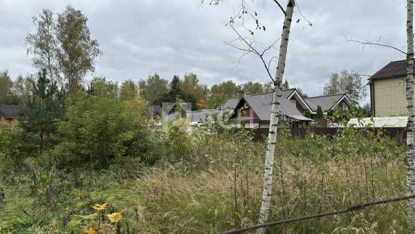 Земельный участок, г.о. Лосино-Петровский, деревня Корпуса, Берёзовая улица, 75, #id1796009