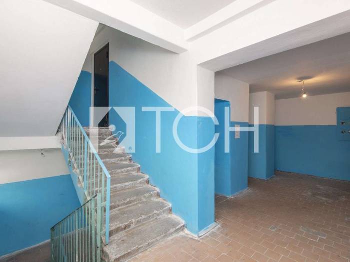 1-комн. квартира, Лесной, ул Пушкина, 8 #id273085