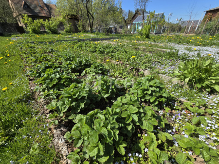 Дом, г.о. Пушкинский, СНТ Никулино, #id1610593