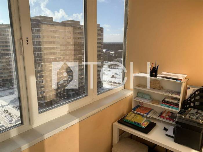 1-комн. квартира, Пушкино, ул Просвещения, 13к3 #id272844