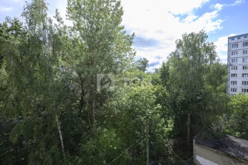 2-комн. квартира, Пушкино, улица Л. Толстого, 23, #id1732185