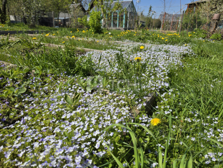 Дом, г.о. Пушкинский, СНТ Никулино, #id1610593