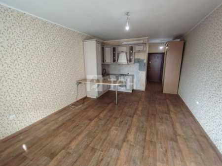 Квартира-студия, деревня Павлино, 67, #id1655066