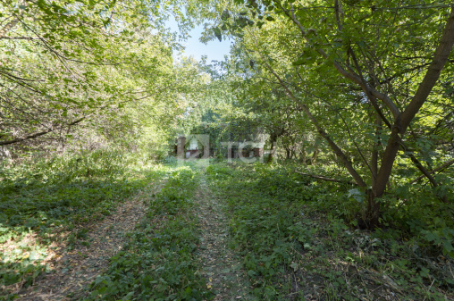 Земельный участок, г.о. Королёв, Королёв, Комитетская улица, 15, #id1500103