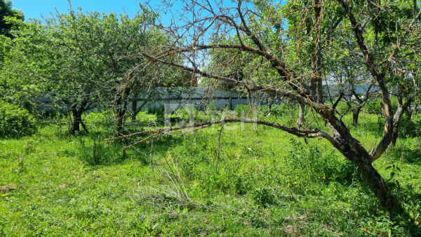 Дом, Тульская область, Заокский район, поселок Шульгинский, Северная улица, 12, #id559675
