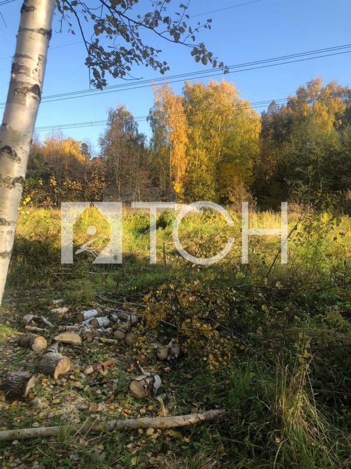 Фото пушкинский лес. Пушкинский лес коттеджный поселок. Пушкинский лес коттеджный поселок. 179 участок пушкинского. Пушкинский лес поселок.