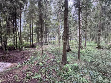 Земельный участок, г.о. Пушкинский, деревня Могильцы, #id1906960