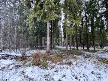 Земельный участок, г.о. Пушкинский, деревня Могильцы, #id1982786