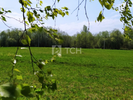 Земельный участок, Владимирская область, Александровский район, деревня Тургенево, #id359750