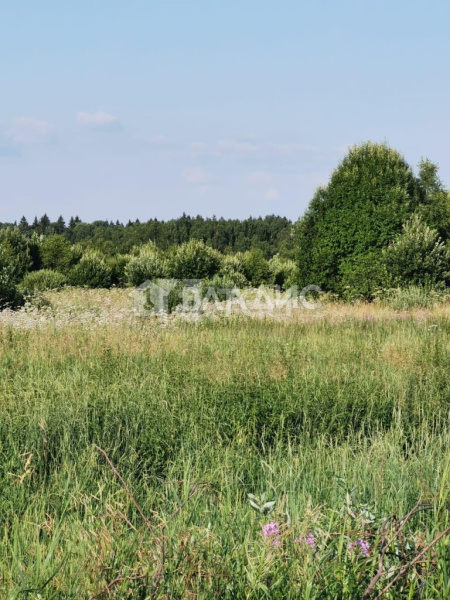 Земельный участок, Можайский г.о., деревня Цыплино, #id1226039