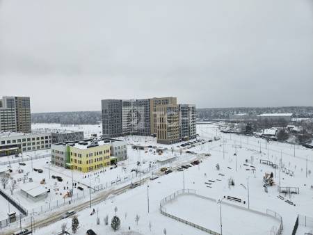 1-комн. квартира, Пушкино, улица Антона Ветчинова, 3к1, #id1991578