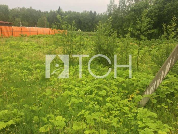 Участок, Пушкинский, с/т Апрель #id265761