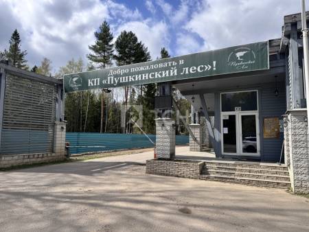 Земельный участок, г.о. Пушкинский, деревня Могильцы, Лесная улица, #id1577372