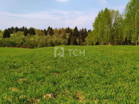 Земельный участок, Владимирская область, Александровский район, деревня Тургенево, #id359750