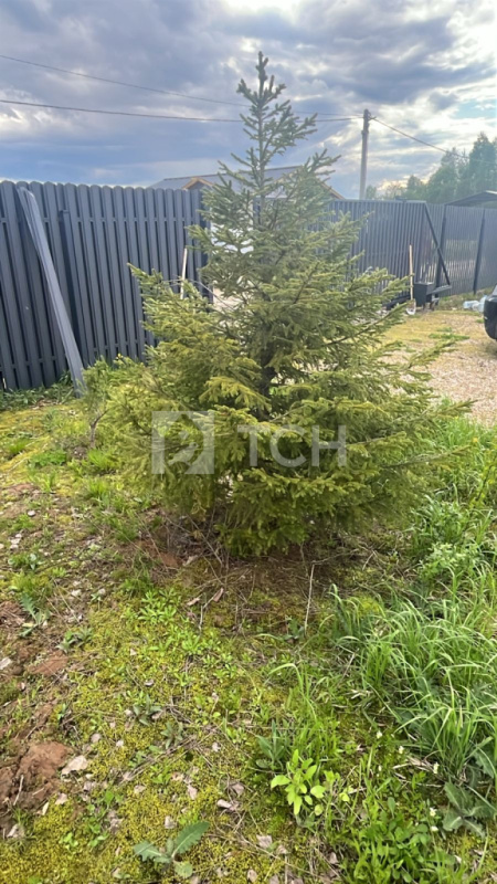 Земельный участок, г.о. Клин, коттеджный посёлок Отрада-парк, Светлая улица, #id1324218