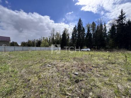 Земельный участок, г.о. Пушкинский, деревня Могильцы, Лесная улица, #id1577372