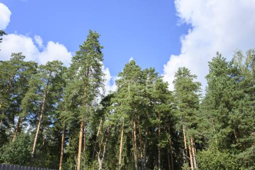 Дом, г.о. Щёлково, дачный посёлок Загорянский, Теннисная улица, #id1757640