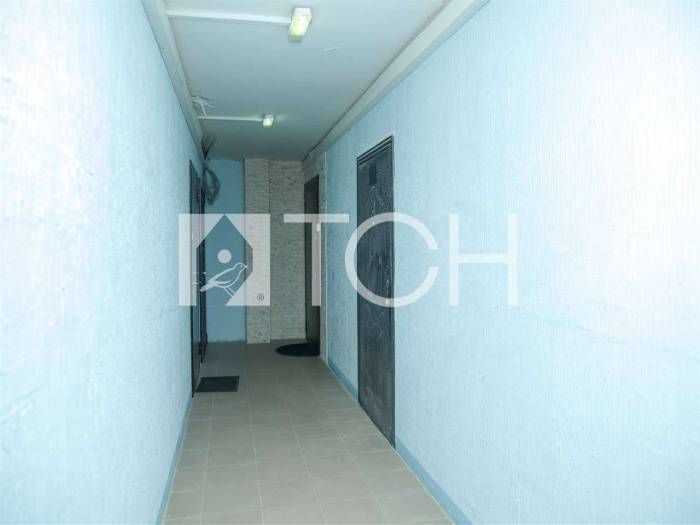 1-комн. квартира, Большие Жеребцы, мкр Восточный, 1к3 #id275023