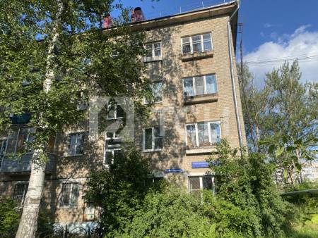 1-комн. Квартира, Пушкино, Железнодорожная улица, 4, #id1562188