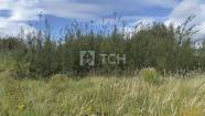 Земельный участок, Богородский г.о., село Воскресенское, 71, #id2337914