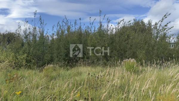 Земельный участок, Богородский г.о., село Воскресенское, 71, #id2337914