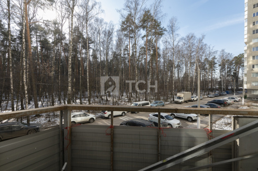 1-комн. квартира, Ивантеевка, Центральный проезд, 17, #id1044343