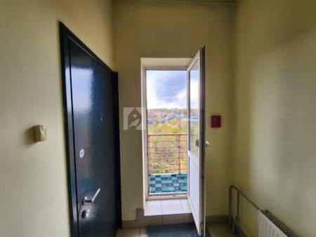 1-комн. квартира, посёлок Лесные Поляны, Солнечная улица, 26к4, #id1499637