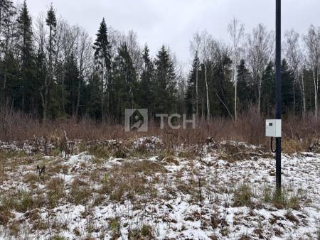 Земельный участок, г.о. Пушкинский, деревня Могильцы, #id1982926