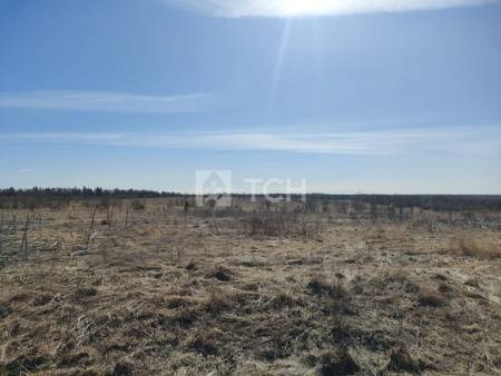 Земельный участок, г.о. Щёлково, деревня Огуднево, #id1571671