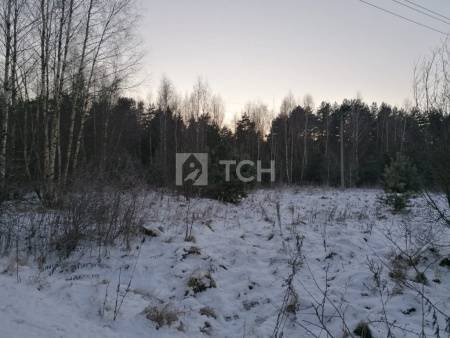 Земельный участок, Богородский г.о., село Бисерово, #id1970106